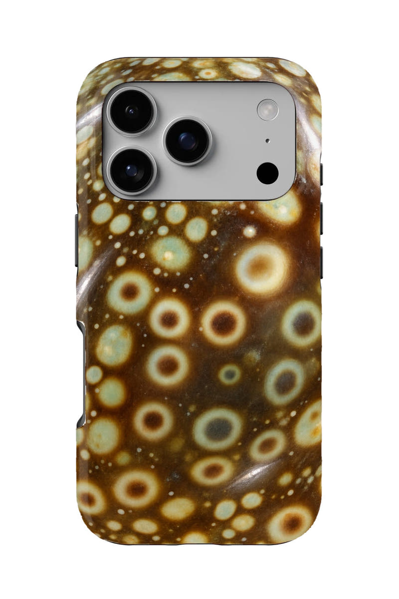 Keys Measled Cowrie tough phone case, back view on white